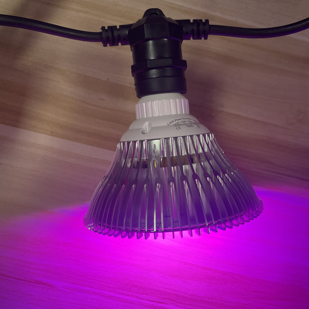 Kabel LED 10M Kelas Komersial  - Outdoor Lighting Strip ulasan dan harga